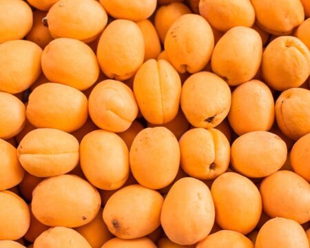 fresh-ripe-apricot-top-view-market fresh-ripe-apricot-top-view-market